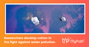 IIT Guwahati Researchers Develop Superhydrophobic Cotton